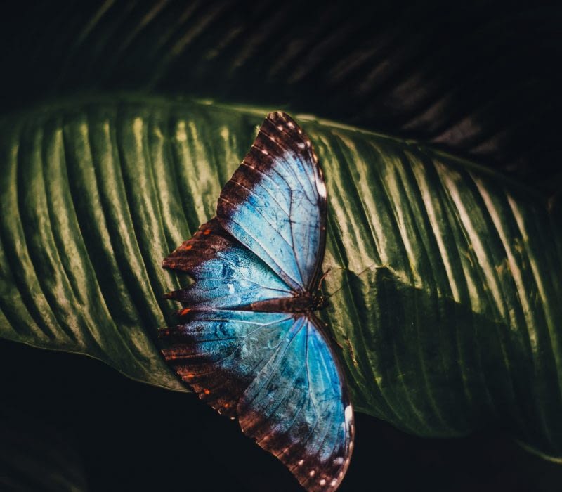 annie-spratt-UNyv9app8mo-unsplash